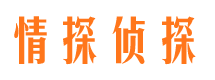 会东情探私家侦探公司